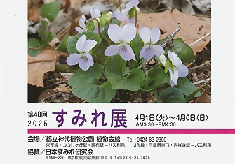 すみれ展（日本すみれ研究会）
