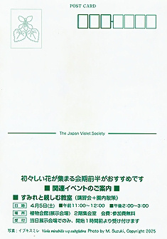 すみれ展（日本すみれ研究会）