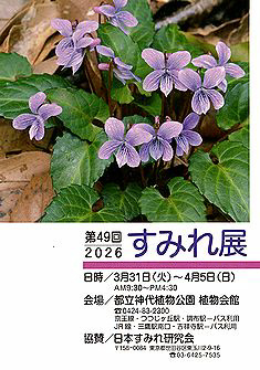 すみれ展（日本すみれ研究会）