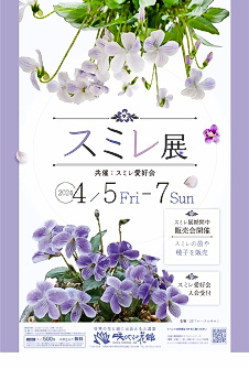 スミレ展（スミレ愛好会）