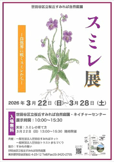 スミレ展（すみれの集い）