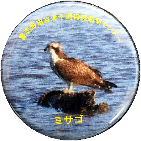 詳細情報へ